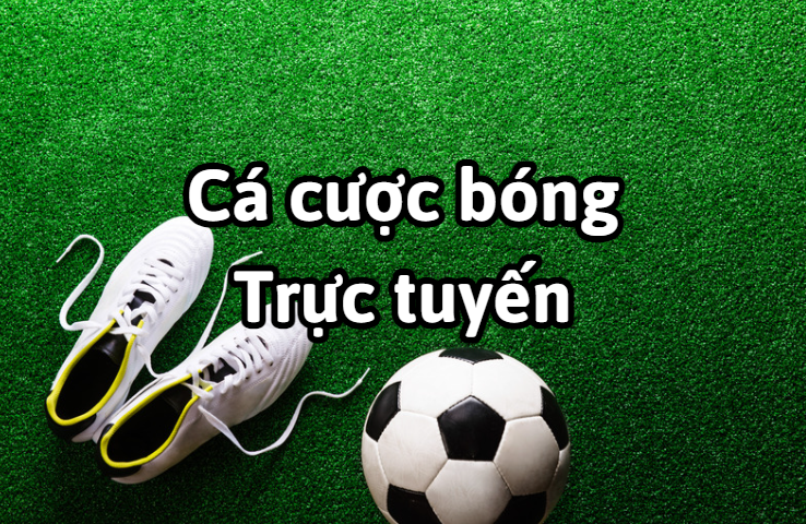 Bí quyết thành công khi chơi cá cược bóng đá trực tuyến