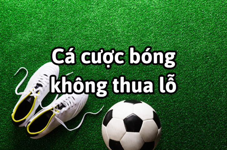 Cách đặt cược bóng đá không bao giờ thua lỗ