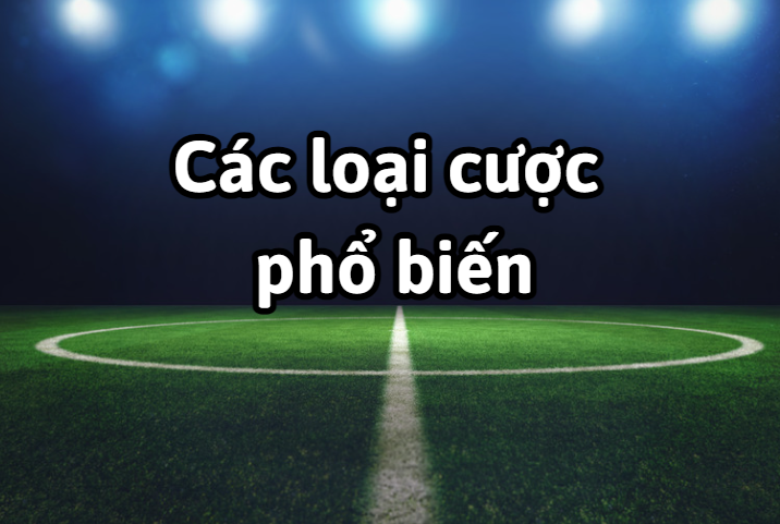 Các loại cược phổ biến trong bóng đá anh em cần biết