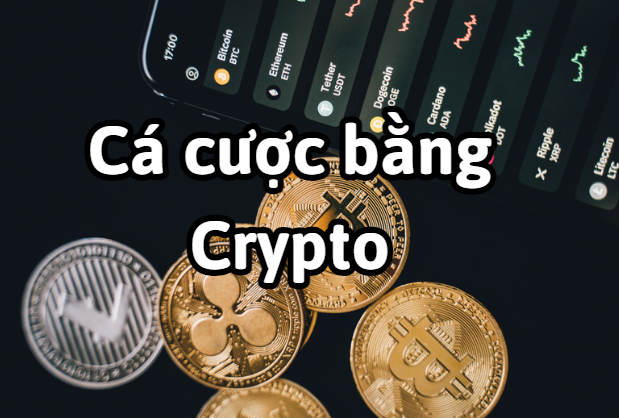 Casino Online nào cho các cược bóng đá bằng Crypto